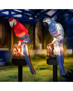 Solar LED Parrot 