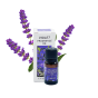 Violet Fragrance oil.